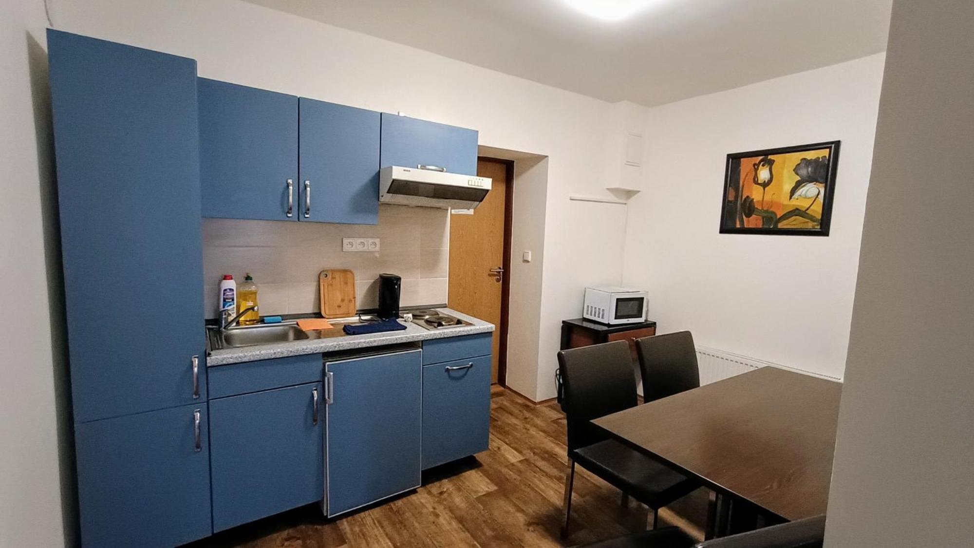 Apartments Gato Karlovy Vary Dalovice Ngoại thất bức ảnh